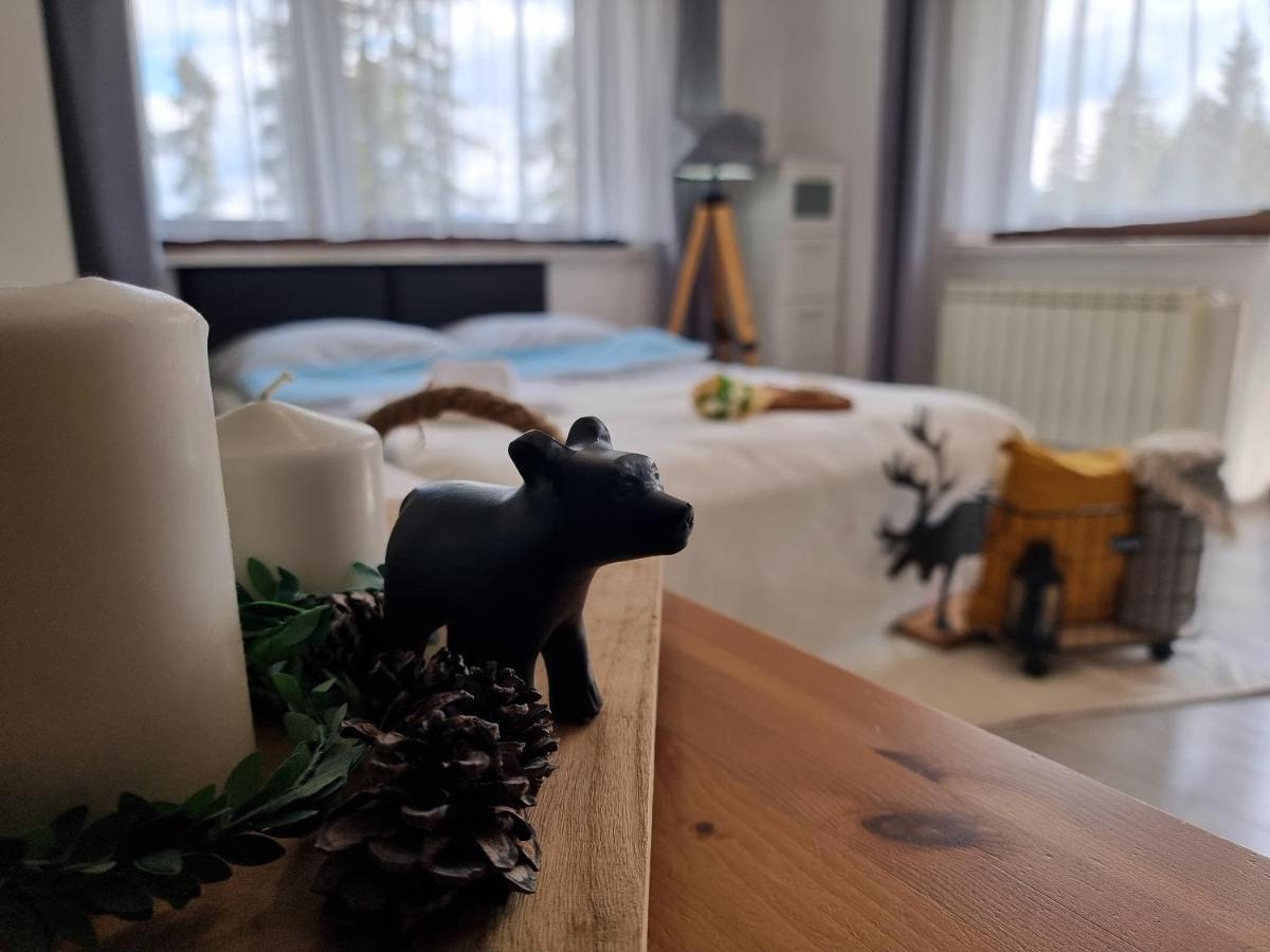 Willabukovinka - Bliskosc Lasu, Wyciagow I Term, Atrakcje Dla Dzieci, Znizki Na Wyciagi, Termy, Karczmy I Atrakcje Bukowina Tatrzańska Eksteriør billede